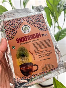 Шатавари 1705